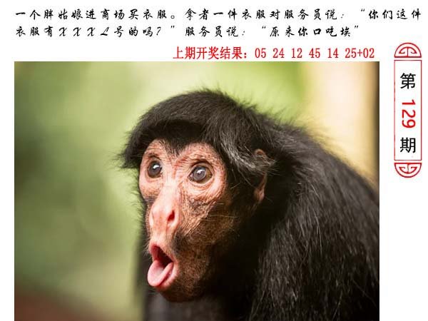 129期澳门生活幽默[图]