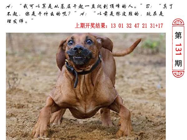131期澳门生活幽默[图]
