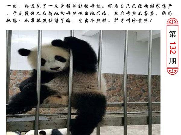 132期澳门生活幽默[图]