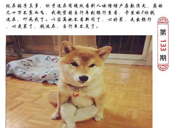 133期澳门生活幽默[图]