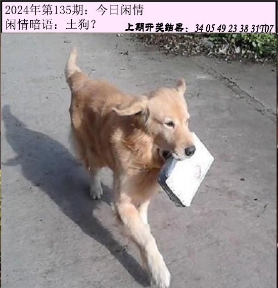 135期今日闲情[图]