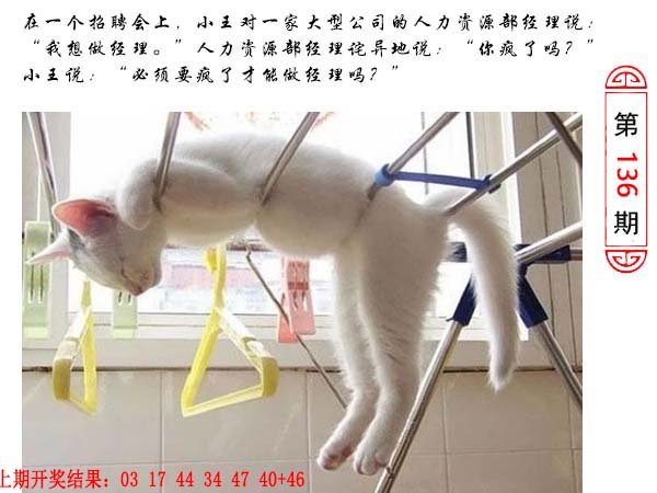 136期澳门生活幽默[图]