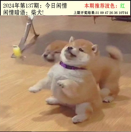 137期今日闲情2[图]