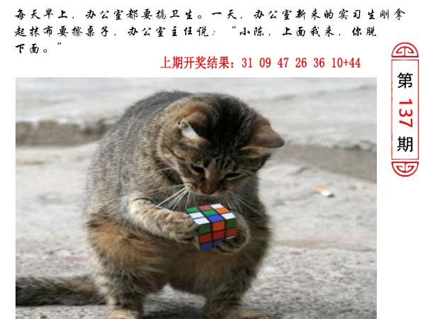 137期澳门生活幽默[图]