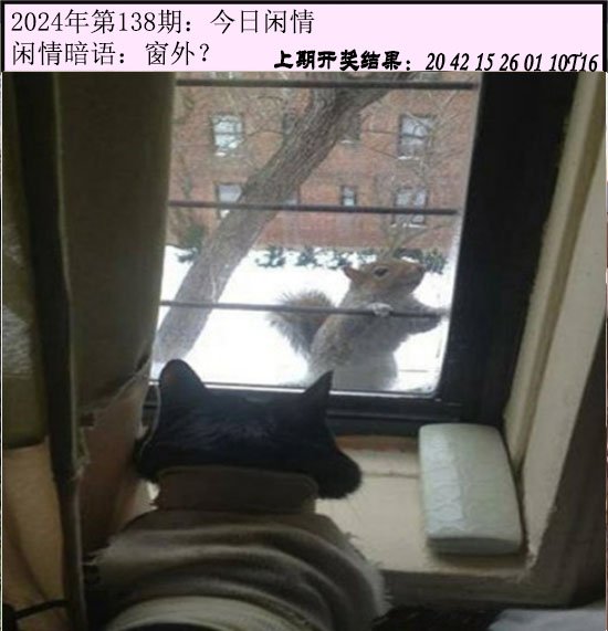138期今日闲情[图]
