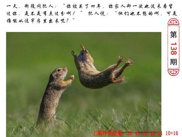 138期澳门生活幽默[图]