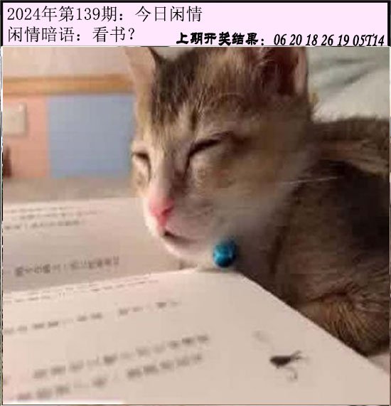139期今日闲情[图]