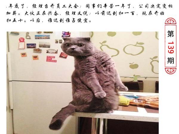 139期澳门生活幽默[图]