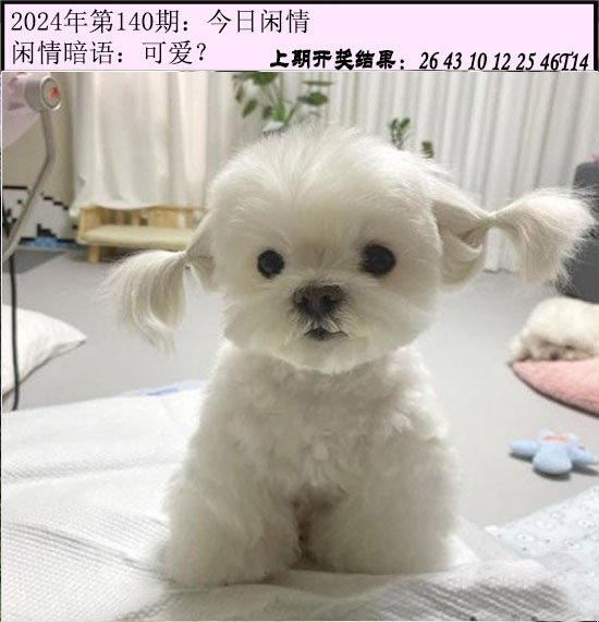 140期今日闲情[图]