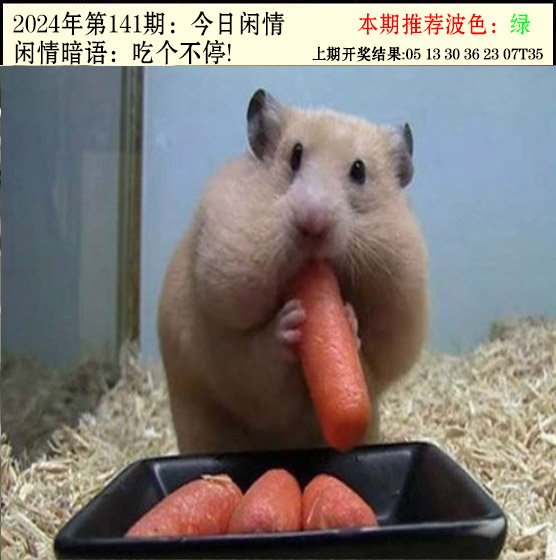 141期今日闲情2[图]