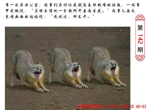 142期澳门生活幽默[图]