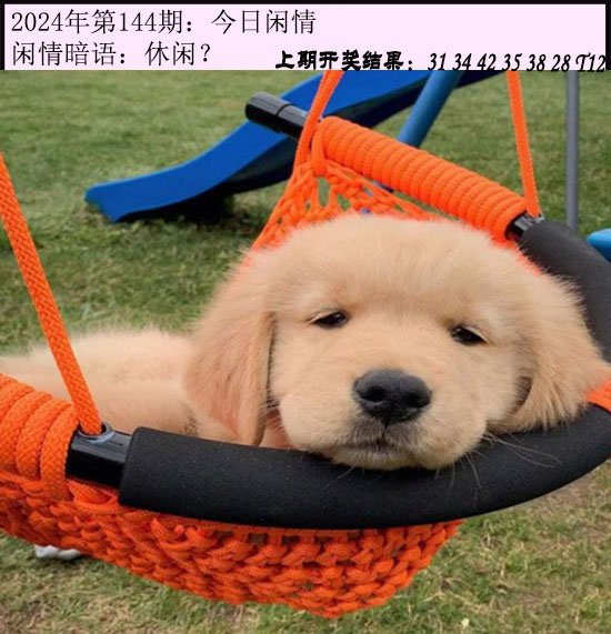 144期今日闲情[图]