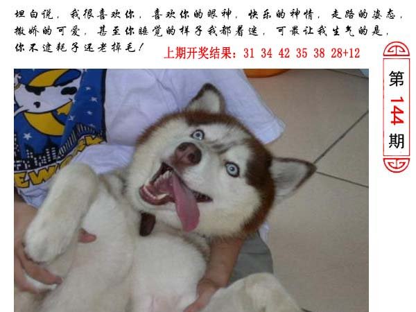 144期澳门生活幽默[图]