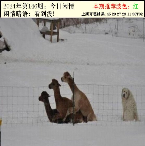 146期今日闲情2[图]