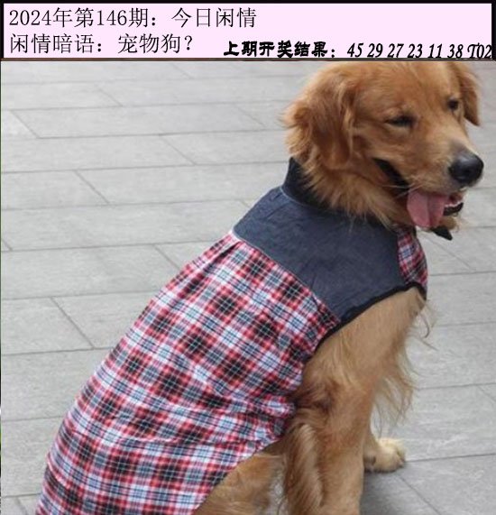 146期今日闲情[图]