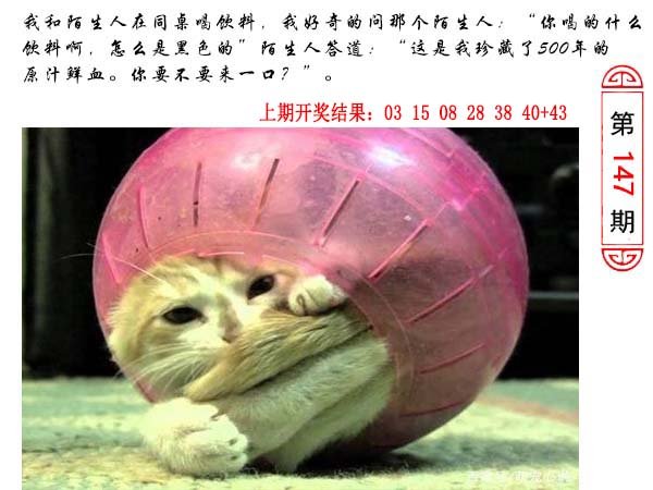 147期澳门生活幽默[图]