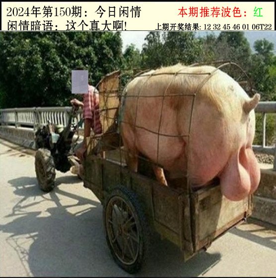 150期今日闲情2[图]