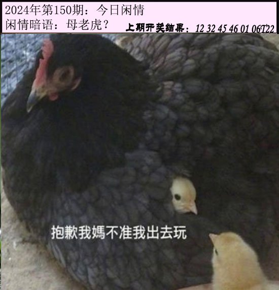 150期今日闲情[图]