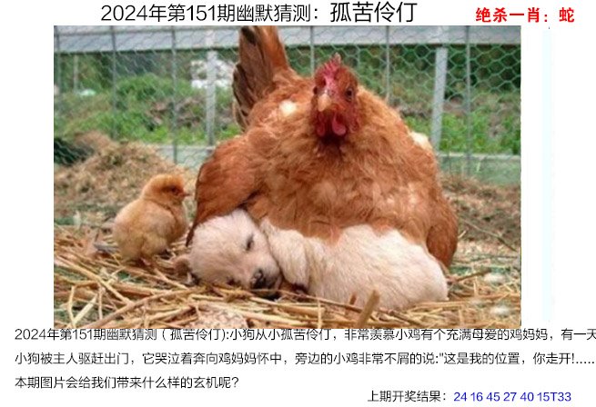 151期幽默猜测[图]