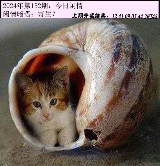 152期今日闲情[图]