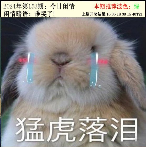 153期今日闲情2[图]