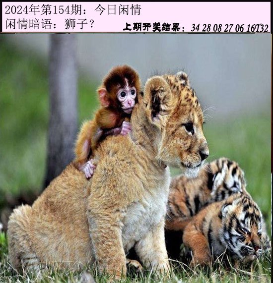 154期今日闲情[图]