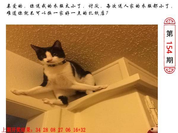 154期澳门生活幽默[图]