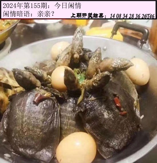 155期今日闲情[图]