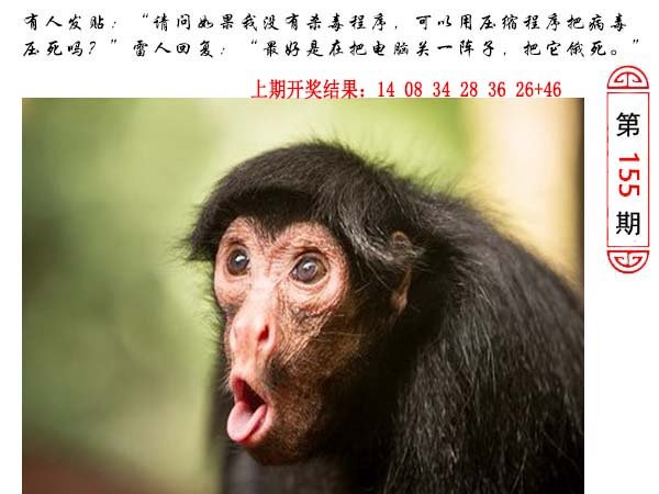 155期澳门生活幽默[图]