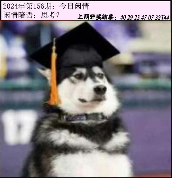 156期今日闲情[图]