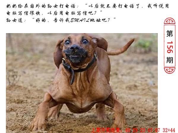 156期澳门生活幽默[图]