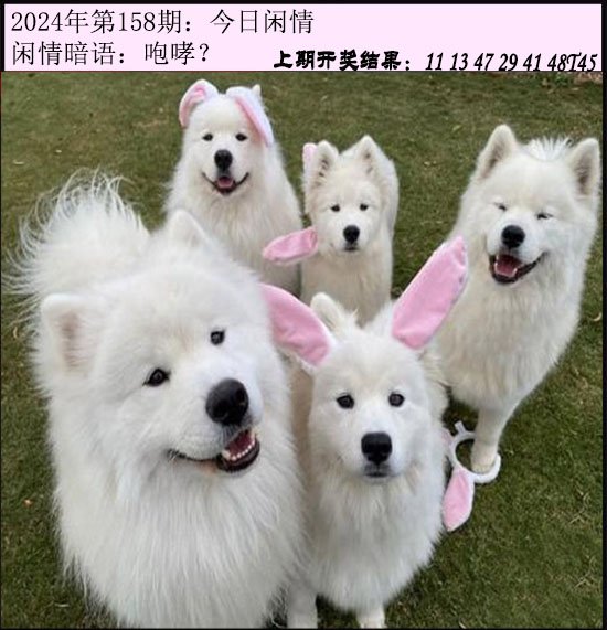 158期今日闲情[图]