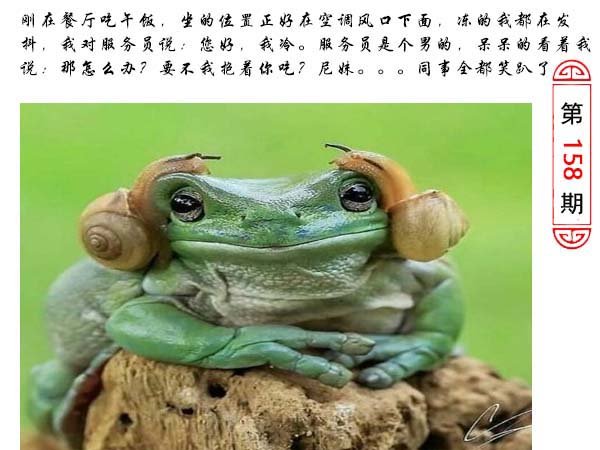 158期澳门生活幽默[图]