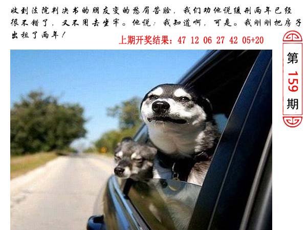 159期澳门生活幽默[图]