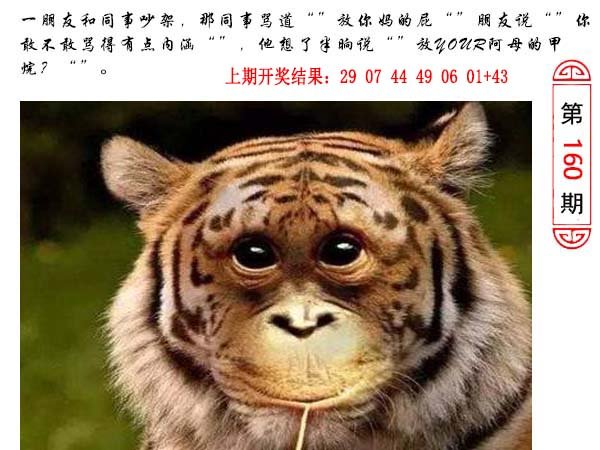 160期澳门生活幽默[图]