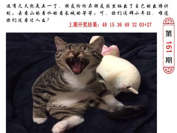 161期澳门生活幽默[图]