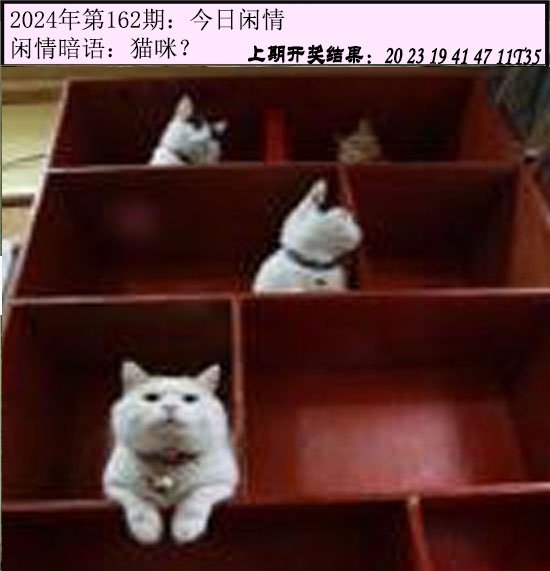 162期今日闲情[图]