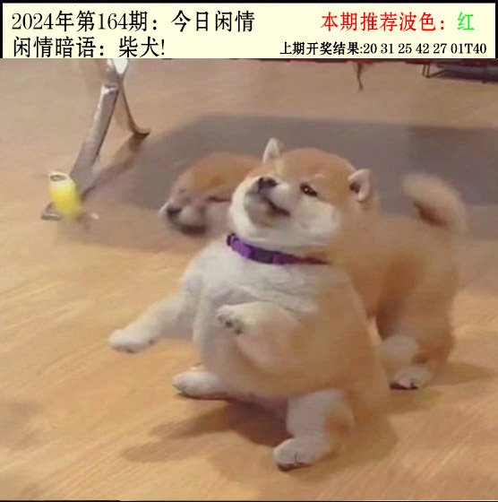 164期今日闲情2[图]