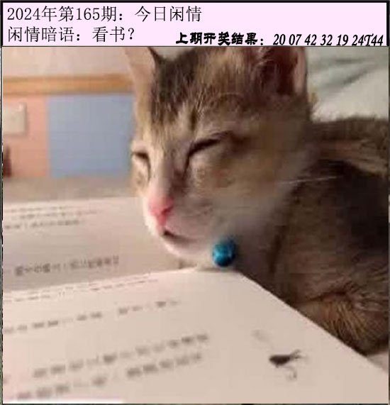 165期今日闲情[图]
