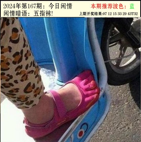 167期今日闲情2[图]