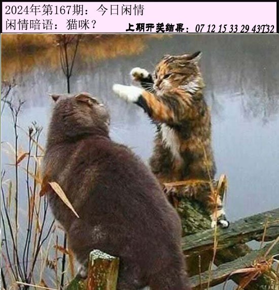 167期今日闲情[图]