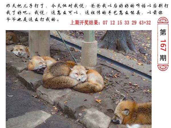 167期澳门生活幽默[图]