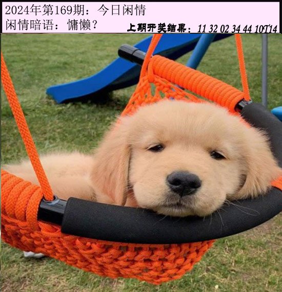 169期今日闲情[图]
