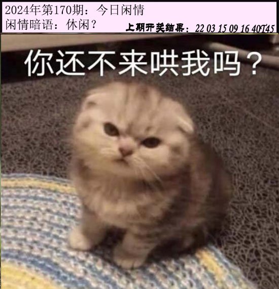 170期今日闲情[图]