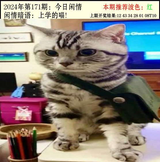 171期今日闲情2[图]