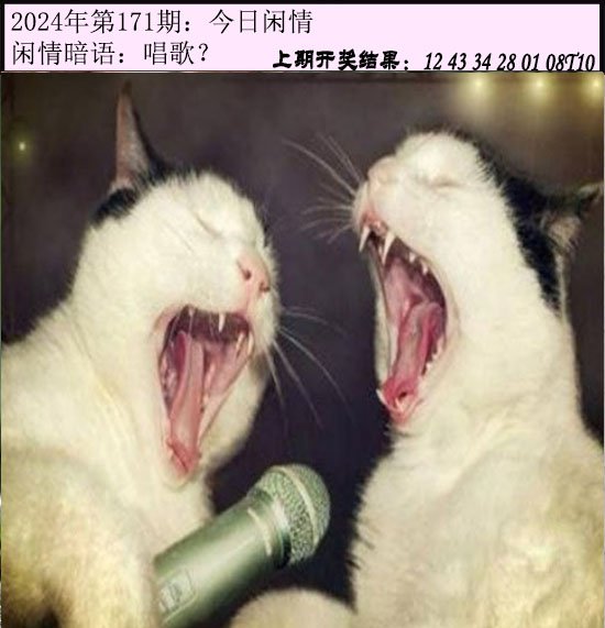 171期今日闲情[图]