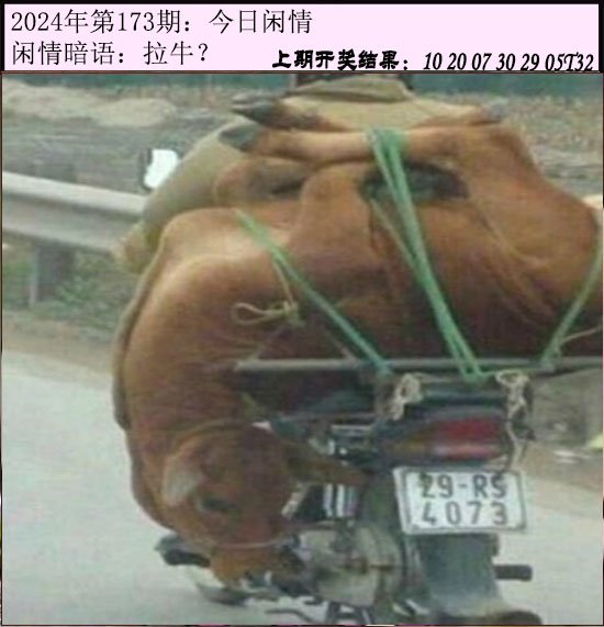 173期今日闲情[图]
