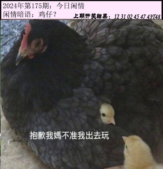 175期今日闲情[图]