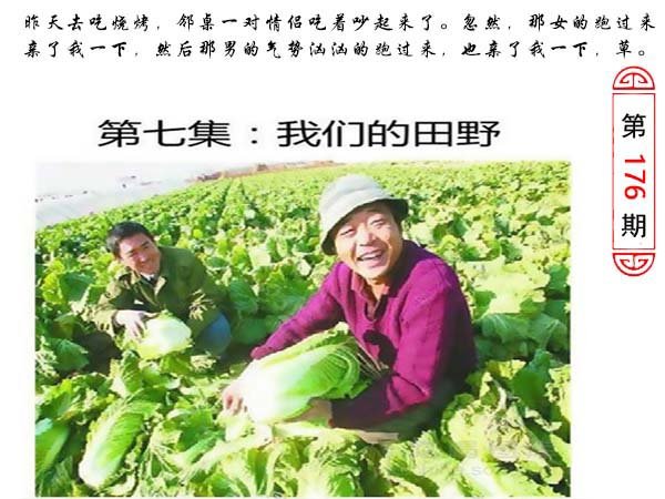 176期澳门生活幽默[图]