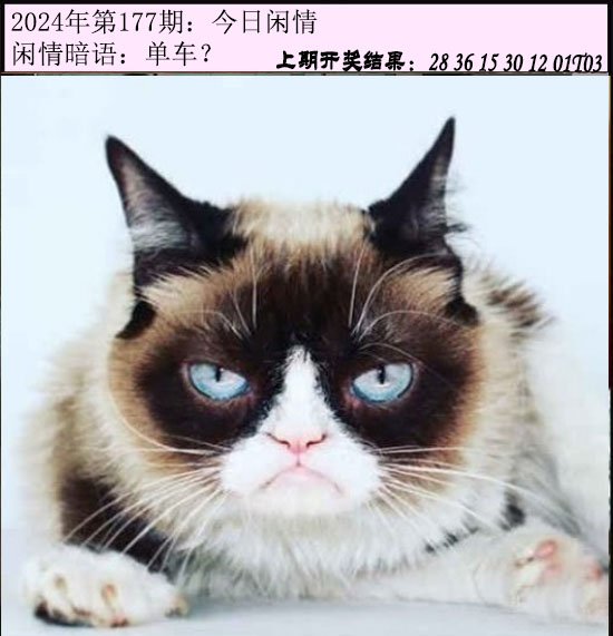 177期今日闲情[图]